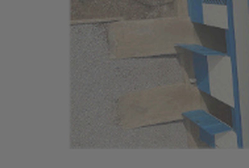 Field consultation with community members under trees